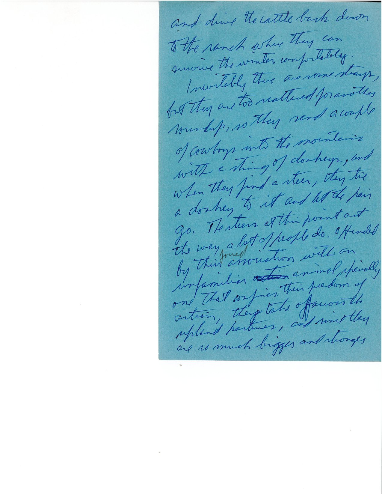 Handwritten Document - Page 12